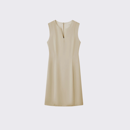Refined Sleeveless Shift Dress